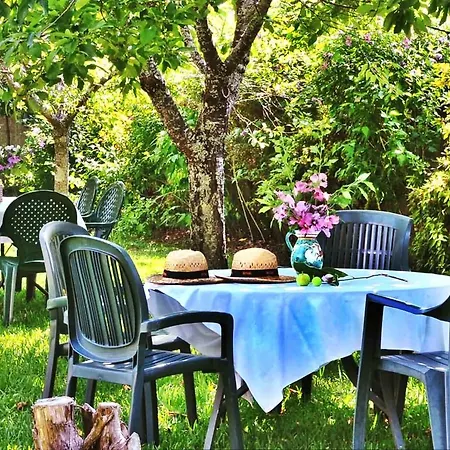 Casa Cunha Holiday home *